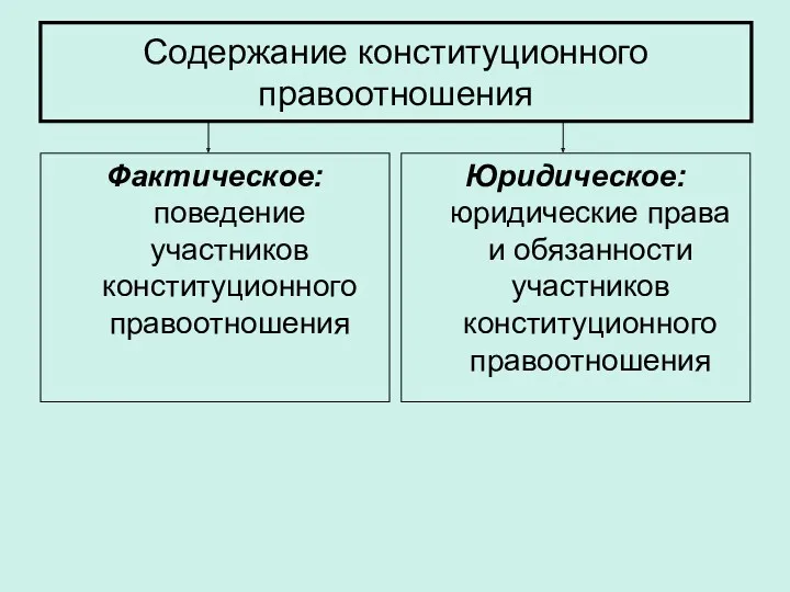 Содержание конституционного правоотношения Фактическое: поведение участников конституционного правоотношения Юридическое: юридические права и обязанности участников конституционного правоотношения