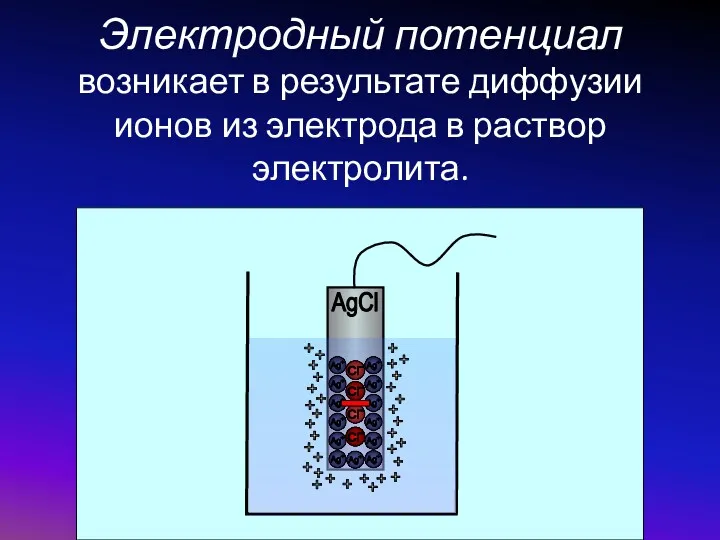 Электродный потенциал возникает в результате диффузии ионов из электрода в