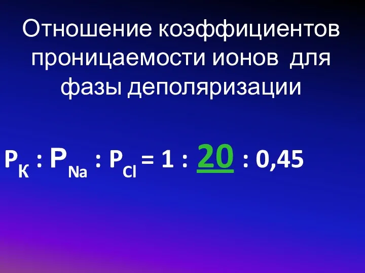 Отношение коэффициентов проницаемости ионов для фазы деполяризации PК : РNa