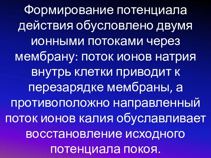 Формирование потенциала действия обусловлено двумя ионными потоками через мембрану: поток