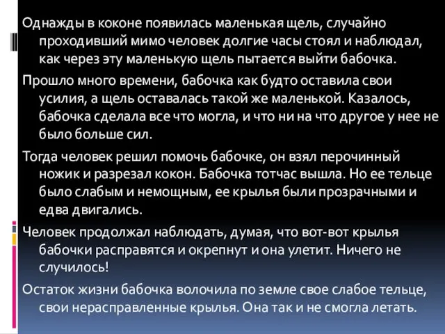 Однажды в коконе появилась маленькая щель, случайно проходивший мимо человек