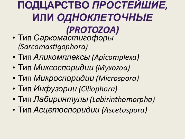 ПОДЦАРСТВО ПРОСТЕЙШИЕ, ИЛИ ОДНОКЛЕТОЧНЫЕ (PROTOZOA) Тип Саркомастигофоры (Sarcomastigophora) Тип Апикомплексы