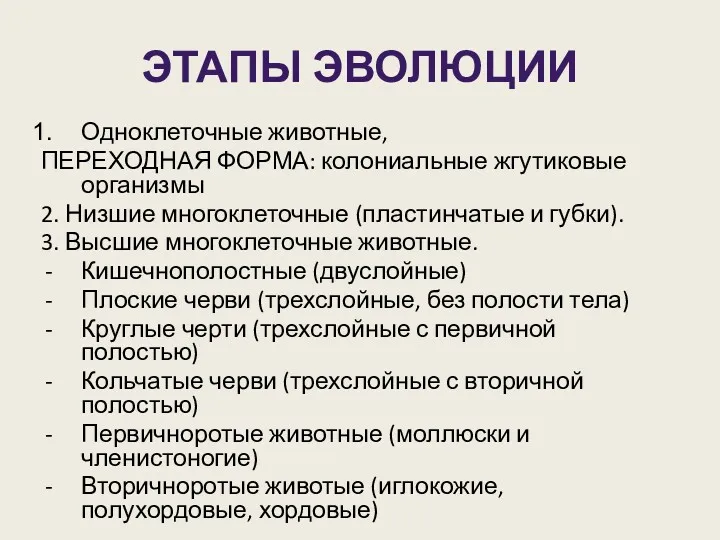 ЭТАПЫ ЭВОЛЮЦИИ Одноклеточные животные, ПЕРЕХОДНАЯ ФОРМА: колониальные жгутиковые организмы 2.