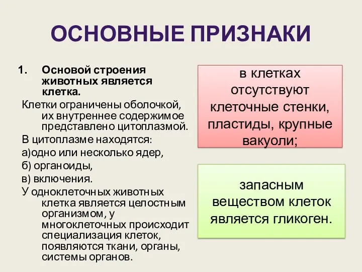 ОСНОВНЫЕ ПРИЗНАКИ Основой строения животных является клетка. Клетки ограничены оболочкой,