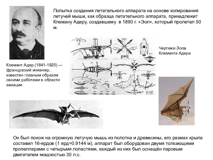 Попытка создания летательного аппарата на основе копирования летучей мыши, как