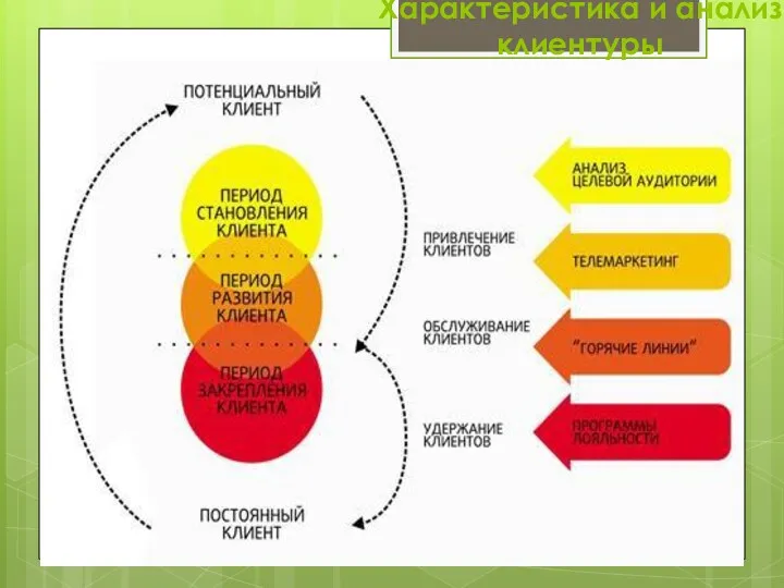 Характеристика и анализ клиентуры