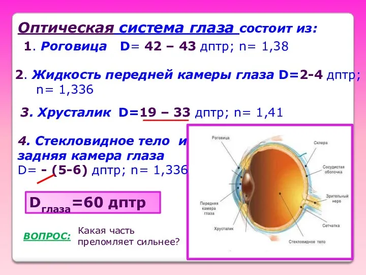 Оптическая система глаза состоит из: 1. Роговица D= 42 – 43 дптр; n=