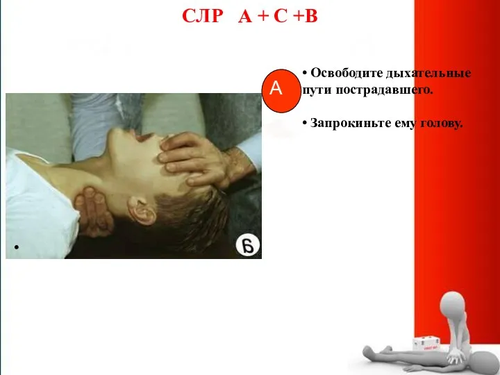 СЛР А + С +В • Освободите дыхательные пути пострадавшего. • Запрокиньте ему голову.