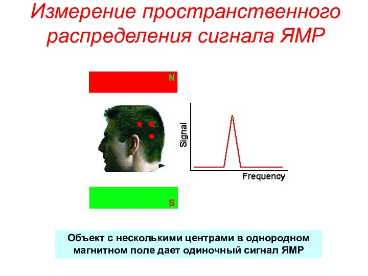 Измерение пространственного распределения сигнала ЯМР Объект с несколькими центрами в