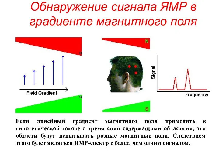 Обнаружение сигнала ЯМР в градиенте магнитного поля Если линейный градиент