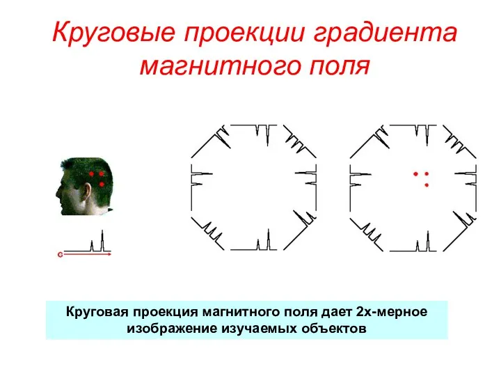 Круговые проекции градиента магнитного поля Круговая проекция магнитного поля дает 2х-мерное изображение изучаемых объектов