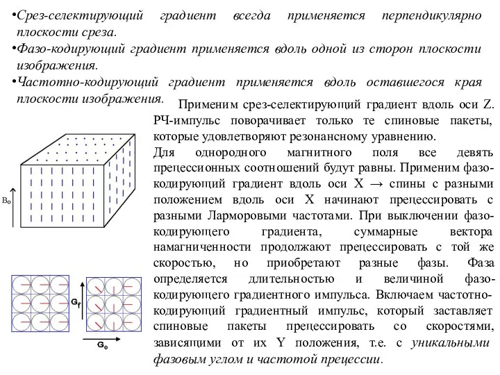 Срез-селектирующий градиент всегда применяется перпендикулярно плоскости среза. Фазо-кодирующий градиент применяется