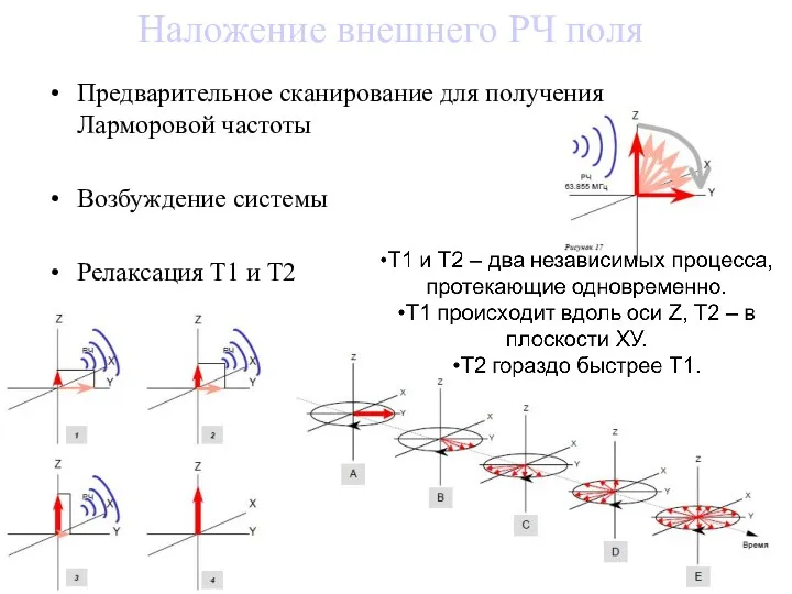 Наложение внешнего РЧ поля Предварительное сканирование для получения Ларморовой частоты Возбуждение системы Релаксация Т1 и Т2