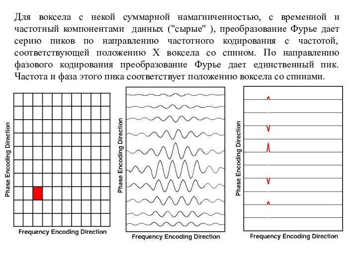 Для воксела с некой суммарной намагниченностью, с временной и частотный