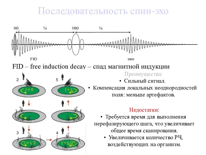 Последовательность спин-эхо FID – free induction decay – спад магнитной