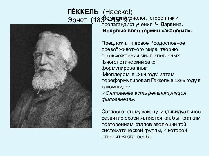 Немецкий биолог, сторонник и пропагандист учения Ч. Дарвина. Впервые ввёл