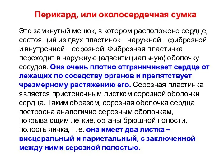 Перикард, или околосердечная сумка Это замкнутый мешок, в котором расположено