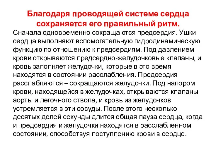 Благодаря проводящей системе сердца сохраняется его правильный ритм. Сначала одновременно