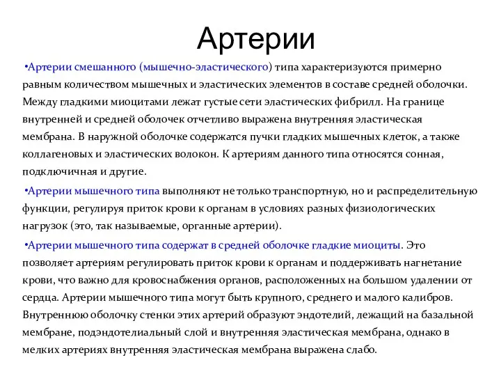 Артерии Артерии смешанного (мышечно-эластического) типа характеризуются примерно равным количеством мышечных