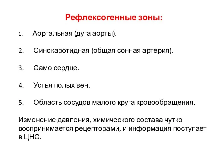 Рефлексогенные зоны: 1. Аортальная (дуга аорты). 2. Синокаротидная (общая сонная