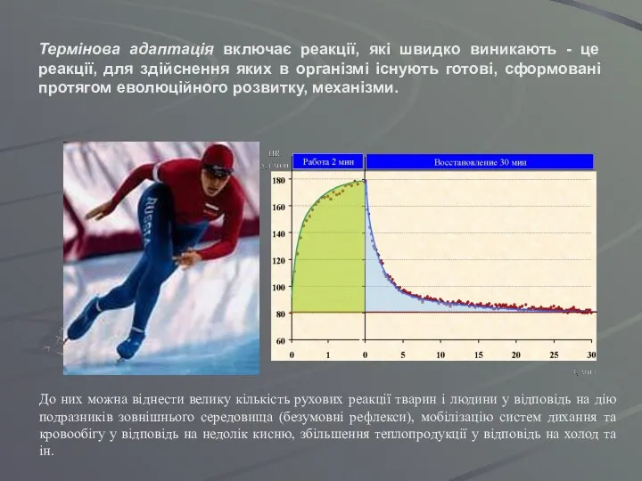 Термінова адаптація включає реакції, які швидко виникають - це реакції,