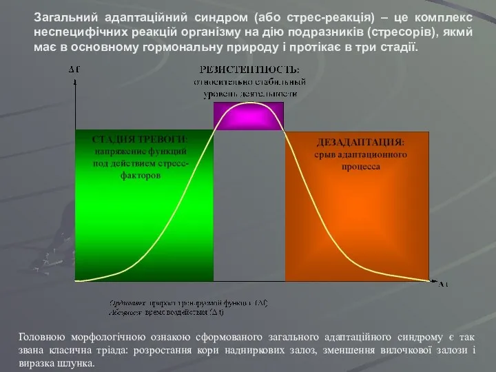 Загальний адаптаційний синдром (або стрес-реакція) – це комплекс неспецифічних реакцій