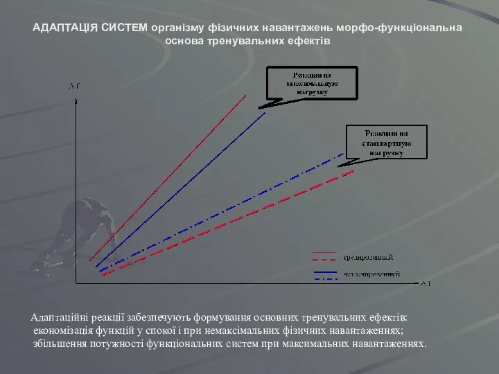 АДАПТАЦІЯ СИСТЕМ організму фізичних навантажень морфо-функціональна основа тренувальних ефектів Адаптаційні