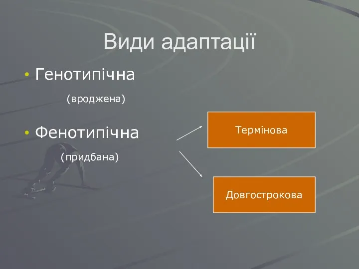 Види адаптації Генотипічна (вроджена) Фенотипічна (придбана) Термінова Довгострокова