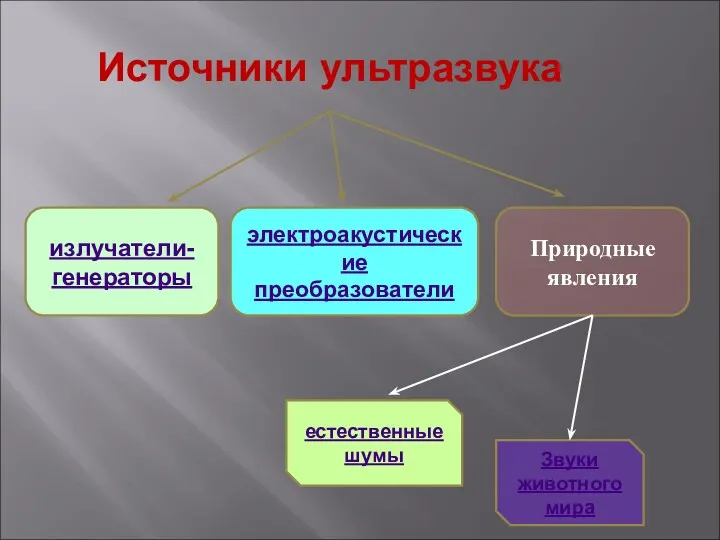 Источники ультразвука излучатели-генераторы электроакустические преобразователи Природные явления естественные шумы Звуки животного мира