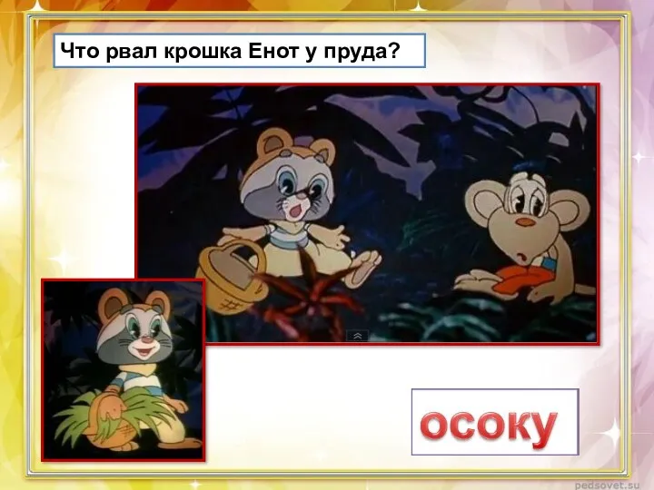 Что рвал крошка Енот у пруда?