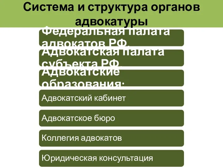 Система и структура органов адвокатуры Федеральная палата адвокатов РФ. Адвокатская