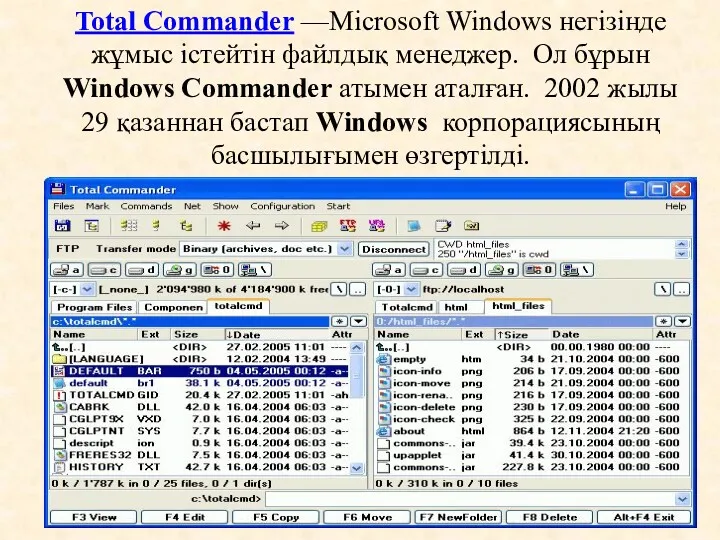 Total Commander —Microsoft Windows негізінде жұмыс істейтін файлдық менеджер. Ол