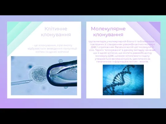 Молекулярне клонування група методів у молекулярній біології та біотехнології, пов'язаних