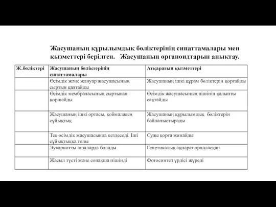 Жасушаның құрылымдық бөліктерінің сипаттамалары мен қызметтері берілген. Жасушаның органоидтарын анықтау.