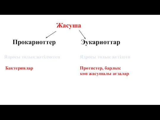 Жасуша Прокариоттер Эукариоттар Ядросы толық жетілмеген Ядросы толық жетілген Бактериялар Протистер, барлық көп жасушалы ағзалар