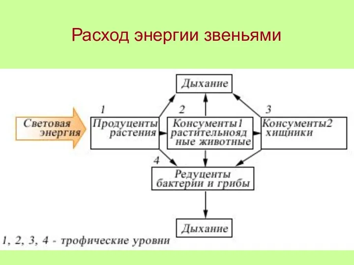 Расход энергии звеньями