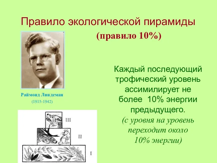 Правило экологической пирамиды (правило 10%) Раймонд Линдеман (1915-1942) Каждый последующий