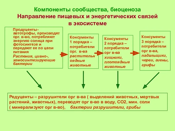 Продуценты- автотрофы, производят орг. в-во, потребляют энергию солнца при фотосинтезе