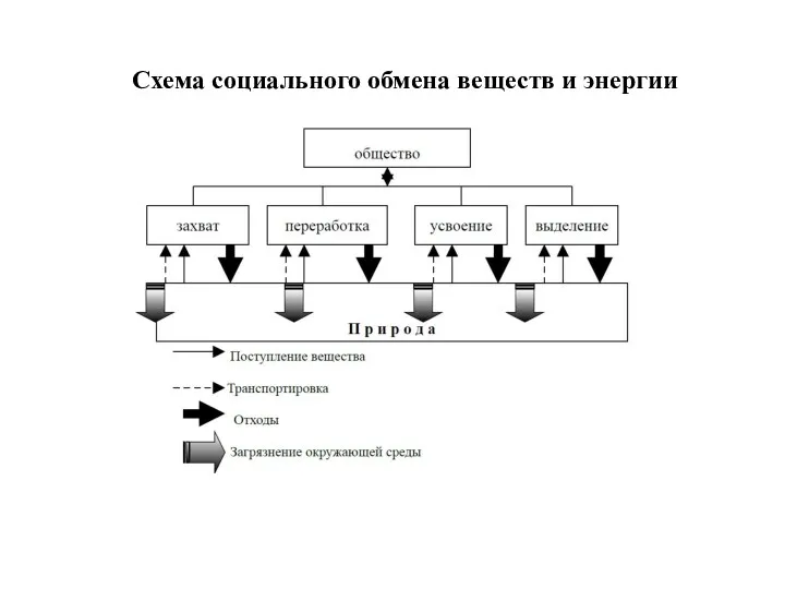 Схема социального обмена веществ и энергии