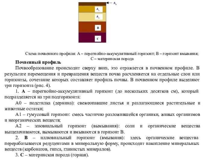 Схема почвенного профиля: А – перегнойно-аккумулятивный горизонт; В – горизонт