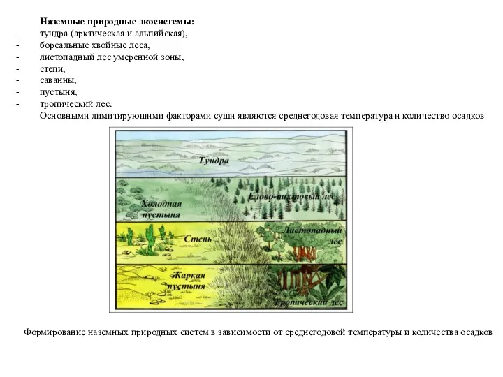 Формирование наземных природных систем в зависимости от среднегодовой температуры и