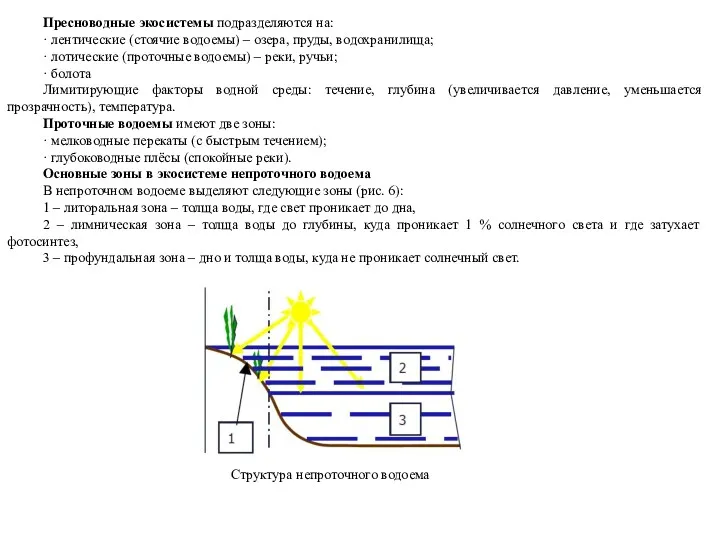 Пресноводные экосистемы подразделяются на: · лентические (стоячие водоемы) – озера,