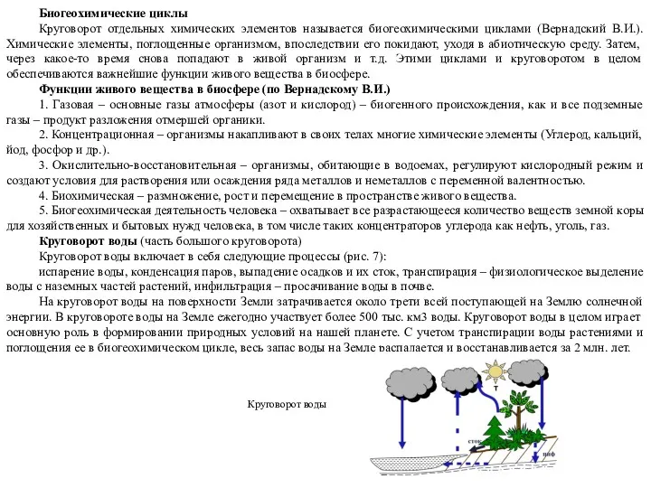 Биогеохимические циклы Круговорот отдельных химических элементов называется биогеохимическими циклами (Вернадский