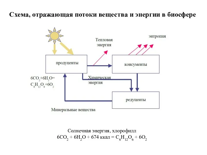 Схема, отражающая потоки вещества и энергии в биосфере Солнечная энергия,