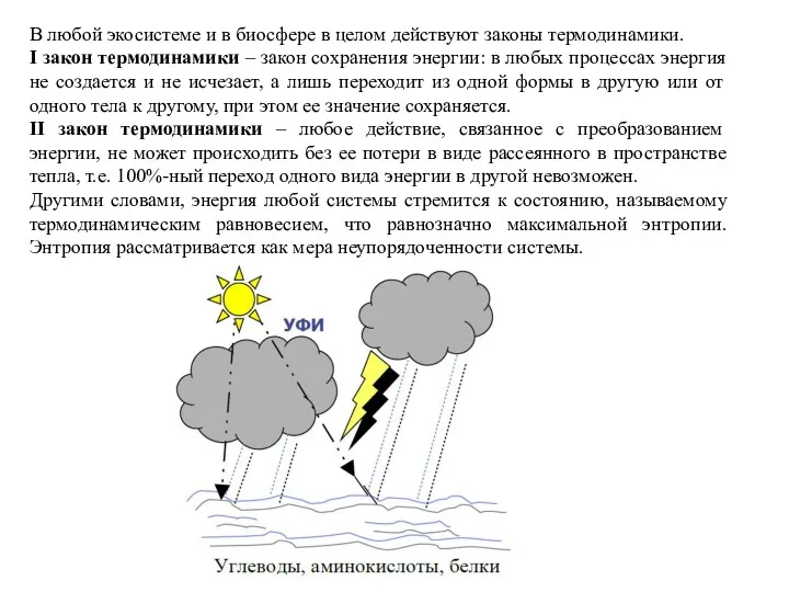 В любой экосистеме и в биосфере в целом действуют законы