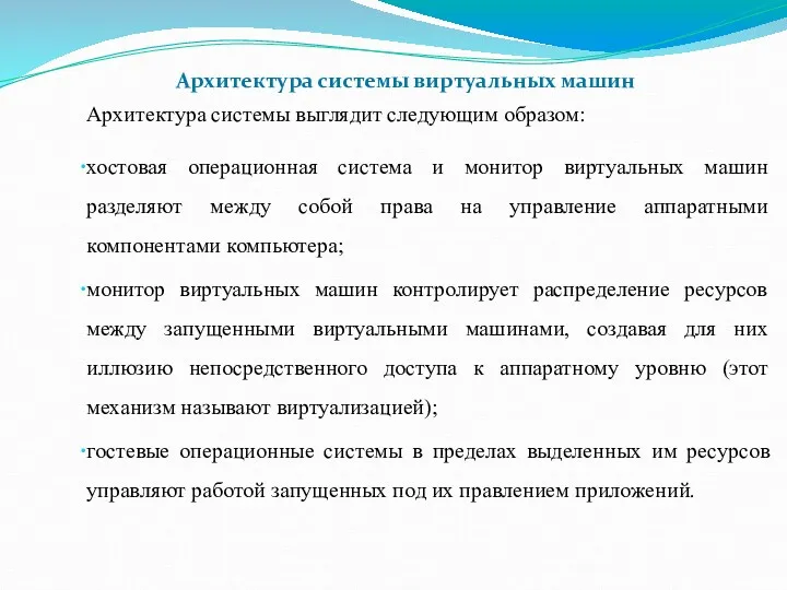 Архитектура системы выглядит следующим образом: хостовая операционная система и монитор