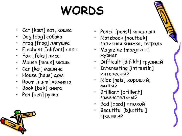 WORDS Cat [kæt] кот, кошка Dog [dog] собака Frog [frog]