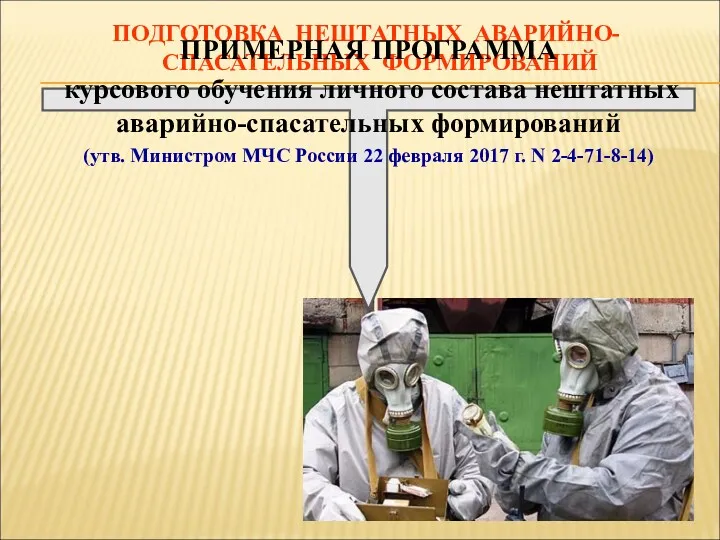 ПОДГОТОВКА НЕШТАТНЫХ АВАРИЙНО-СПАСАТЕЛЬНЫХ ФОРМИРОВАНИЙ ПРИМЕРНАЯ ПРОГРАММА курсового обучения личного состава