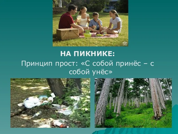 НА ПИКНИКЕ: Принцип прост: «С собой принёс – с собой унёс»