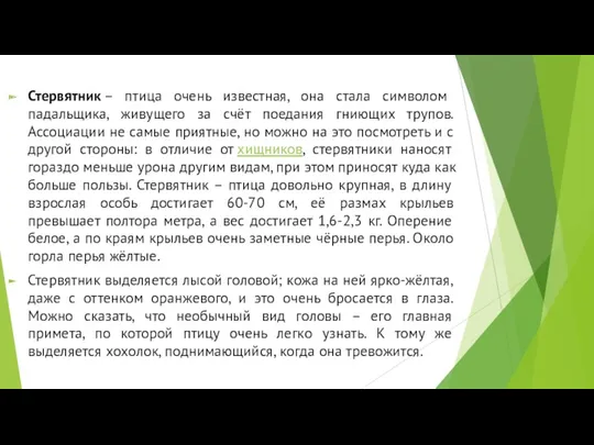 Стервятник – птица очень известная, она стала символом падальщика, живущего